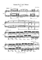 Sonata No.2 in C minor. 1. Adagio - Agitato